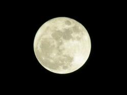 DSCN0742s.jpg